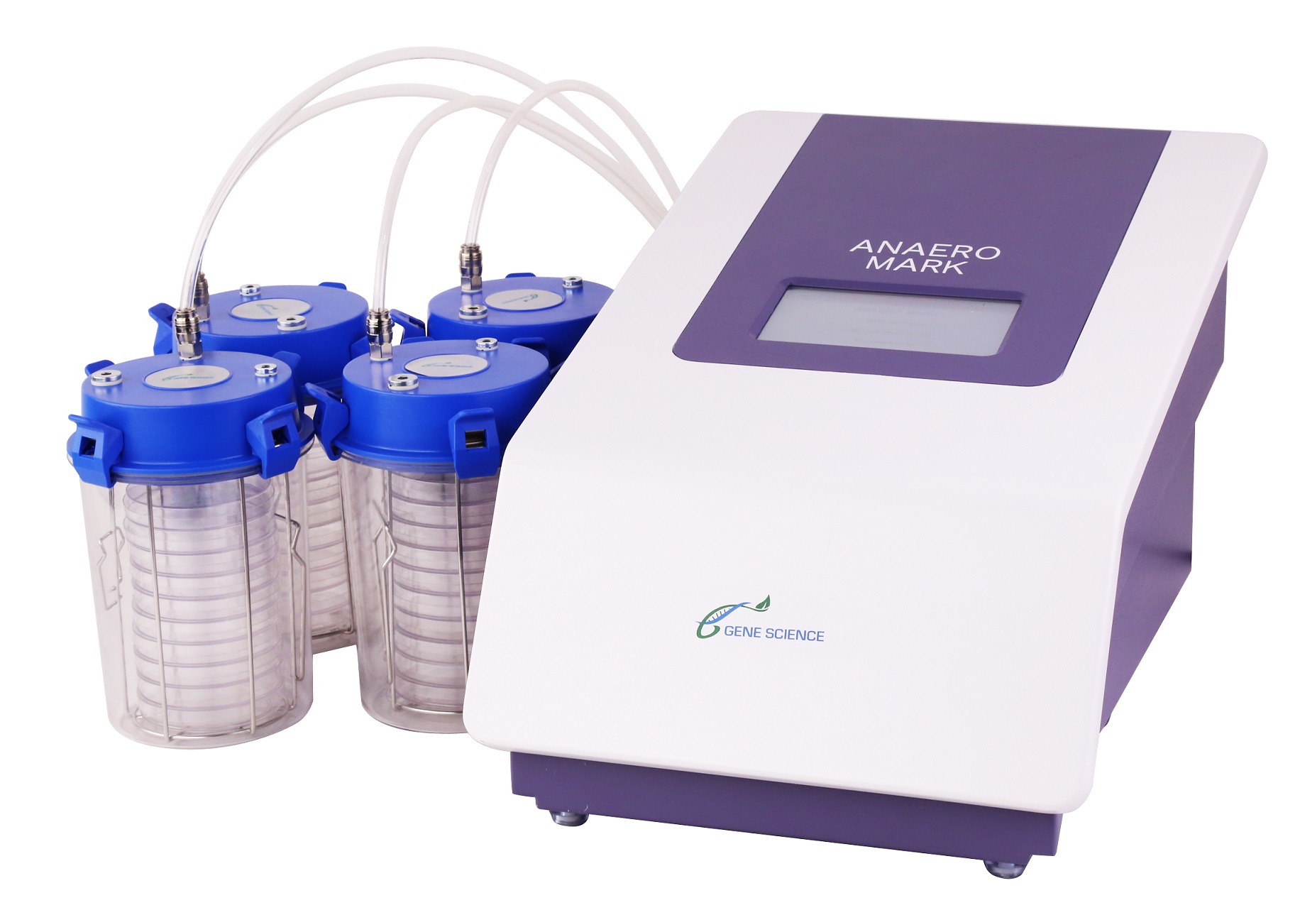 1589261579139362.jpg A.jpg