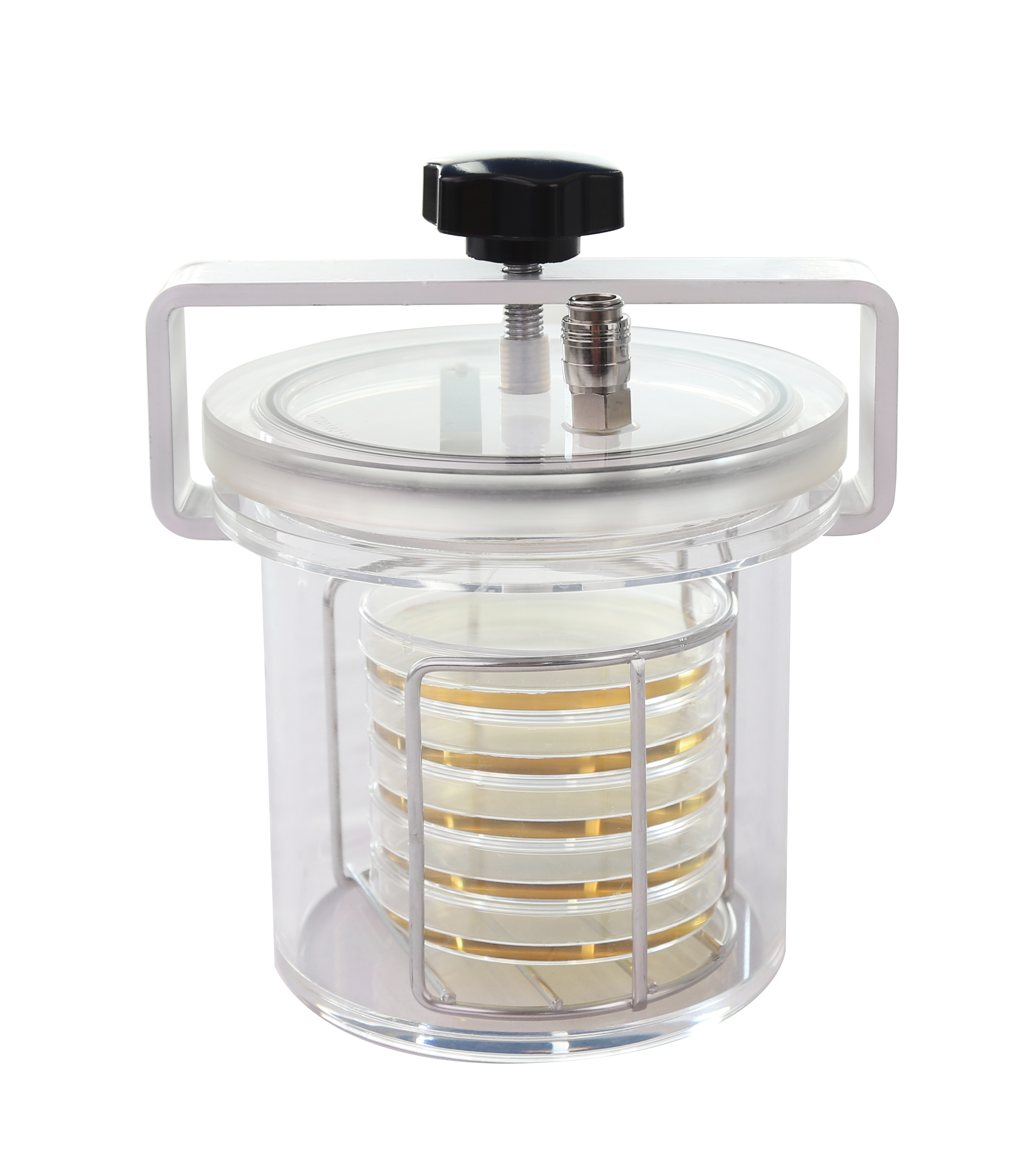 1629790452603821.jpg 圖片1.jpg