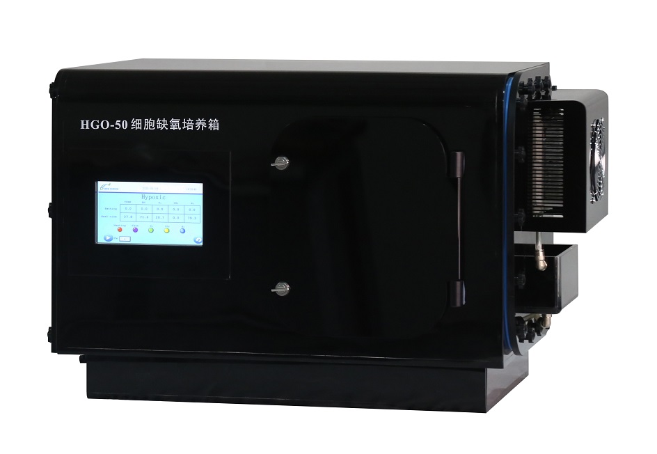 1684978332567016.jpg 121.jpg